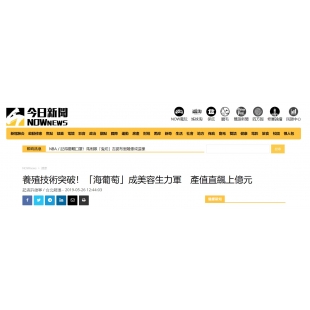 養殖技術突破!「海葡萄」成美容生力軍 產值直飆上億元 養殖技術突破!「海葡萄」成美容生力軍 產值直飆上億元