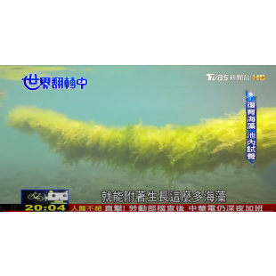 世界翻轉中.png