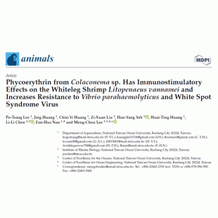 源自Colaconema sp.的藻紅蛋白，對南美白對蝦有免疫刺激作用，並增加對副溶血性弧菌和白斑綜合症病毒的抵抗力